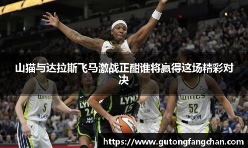 山猫与达拉斯飞马激战正酣谁将赢得这场精彩对决